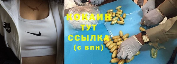 тгк Алексин