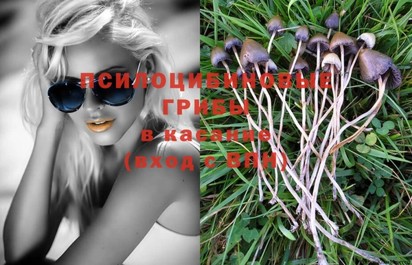 МДПВ Алзамай