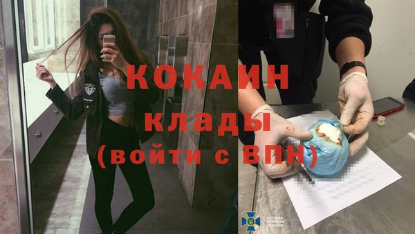 МДПВ Алзамай