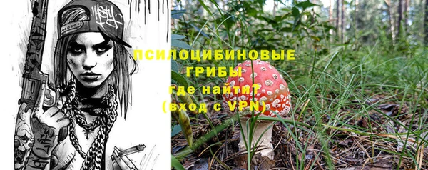 стаф Алексеевка