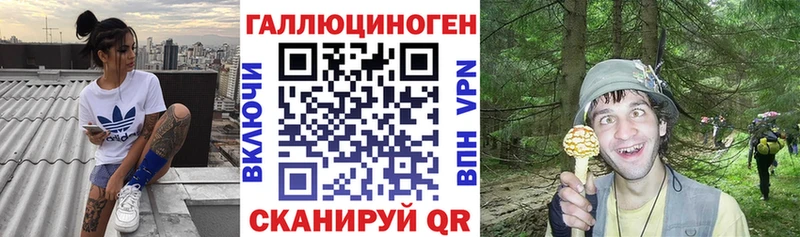 Псилоцибиновые грибы мицелий  Новая Ладога 