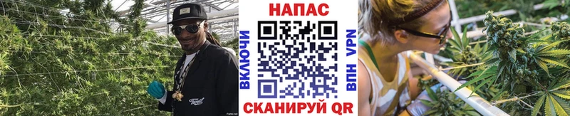 закладки  ОМГ ОМГ зеркало  Конопля White Widow  Новая Ладога 